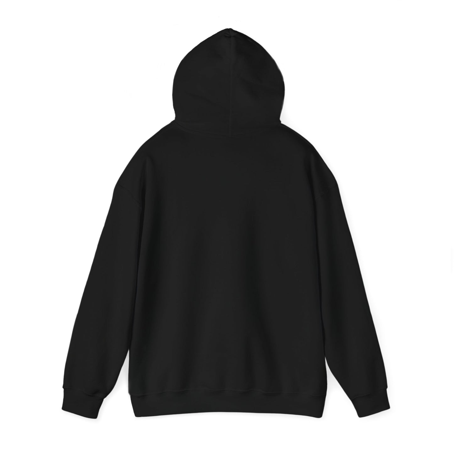 HGT USA Hooded Sweatshirt