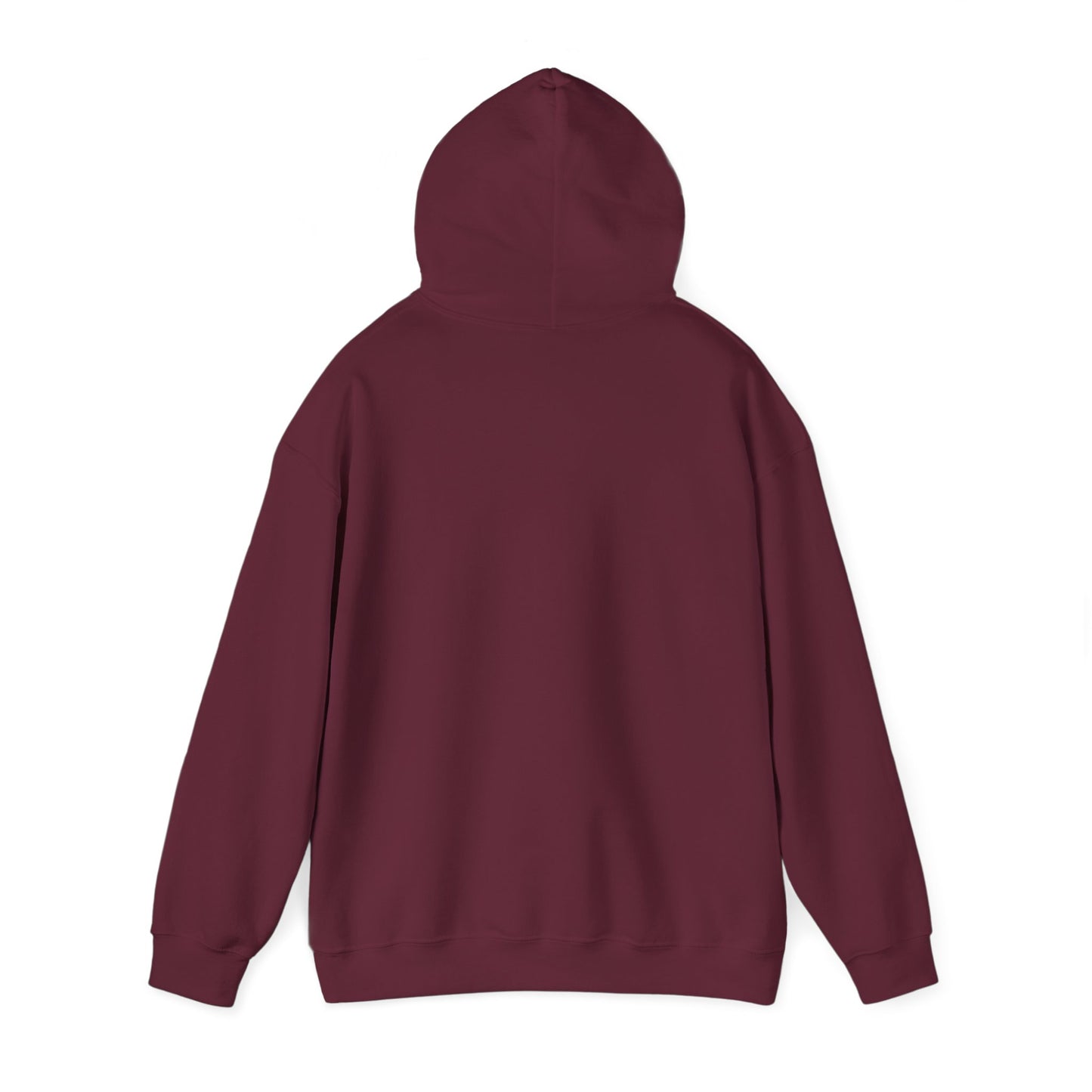 HGT USA Hooded Sweatshirt